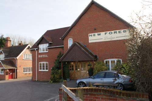 New Forest Lodge 