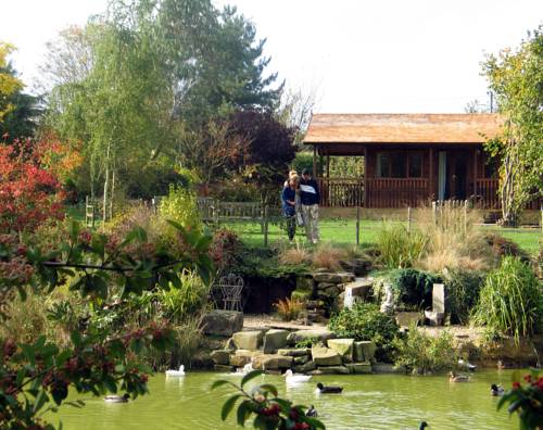 Lakeside Town Farm 