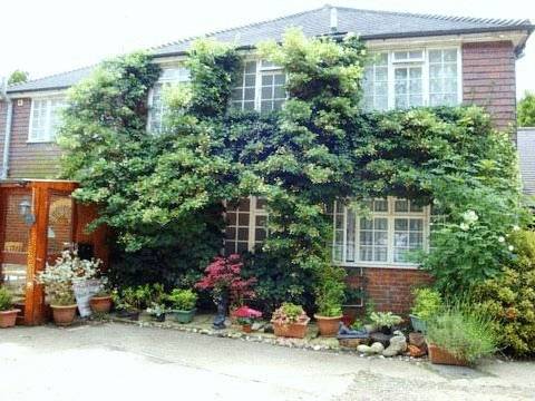 Da Vinci Guest House - Bed And Breakfast (Gatwick) 