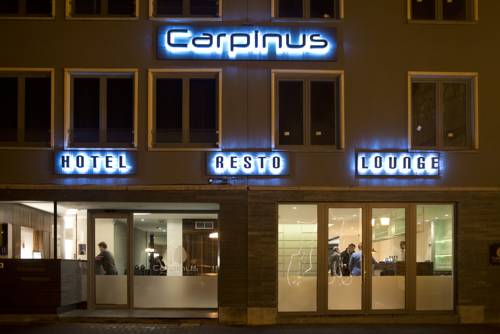 Hotel Carpinus 