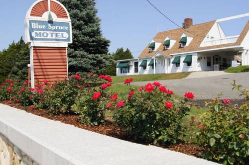 Blue Spruce Motel & Townhouses 