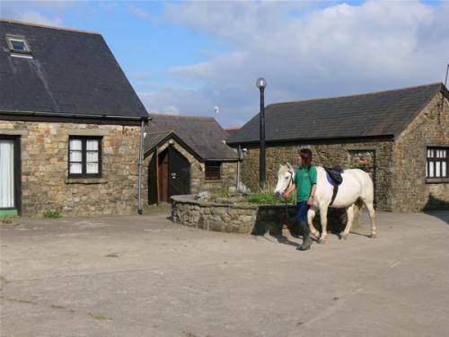 Clyne Farm Centre 