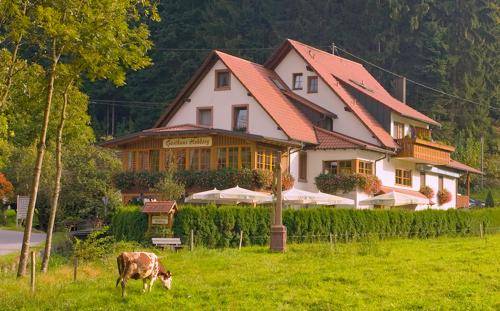 Gasthaus - Pension Hohberg 