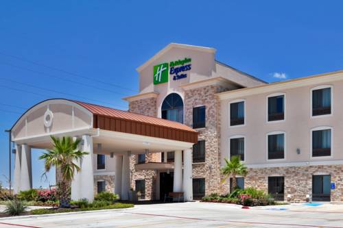 Holiday Inn Express Hotel & Suites Hutto 