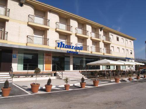 Hotel Manzanil 