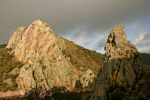 Bungalows Camping Parque Nacional de Monfragüe 