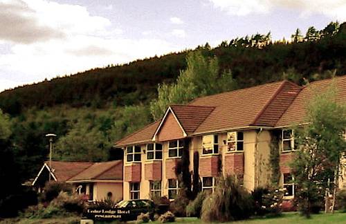 Cedar Lodge Hotel (Ireland) 