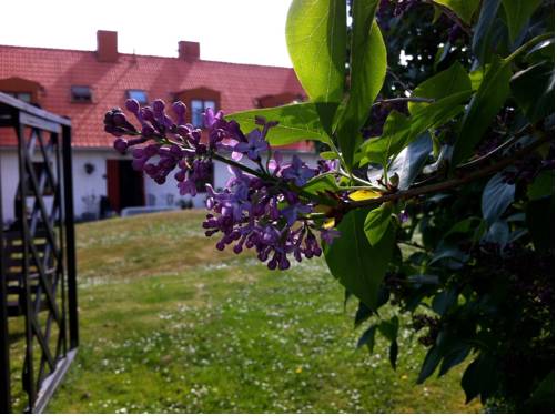 Gamla Bygget Nävekvarns B&B 