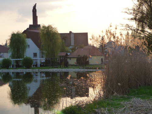 Landgasthof Windfelder am See 