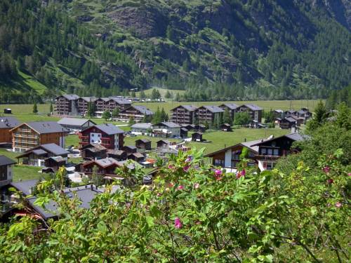 Aparthotel Monte Rosa - Täsch 