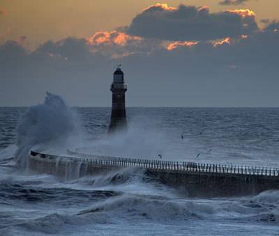 Best Western Tavistock Roker Hotel 