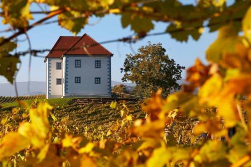 Wine Grower's Mansion Zlati Gric 