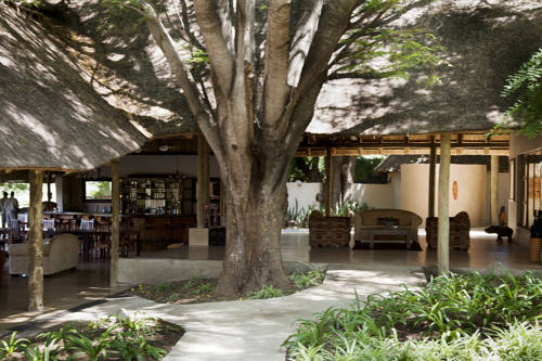 Simbavati River Lodge 