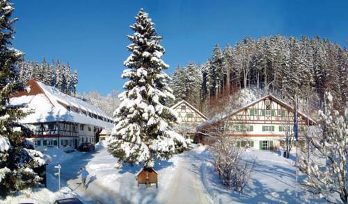 AllgäuHotel Hofgut Kürnach 