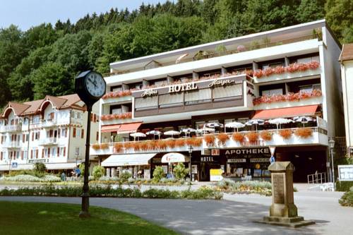 Hotel Harzer am Kurpark 