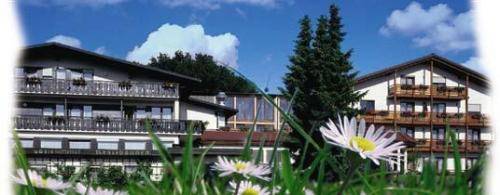 Waldhotel Villa Waldeck 