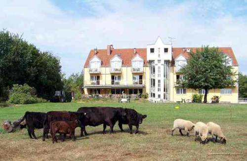 Landhotel Löwenbruch 