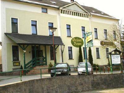 Hotel und Landgasthof Grüner Baum 