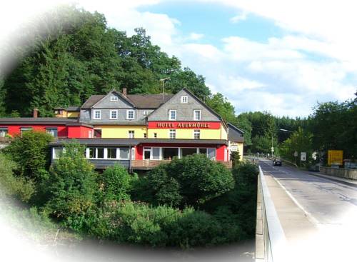 Hotel Auermühle 