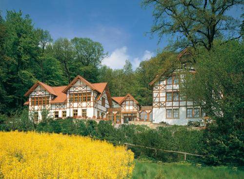 Ringhotel Der Waldkater 