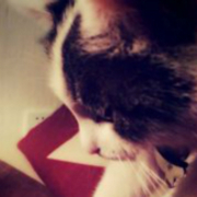 不是蓝色的Jasmine