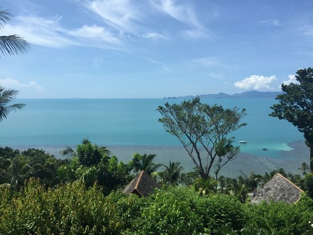 这是在main lobby看到的风景，这样的颜色真是舍不得走 