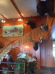 和闺蜜约定了8点半下楼吃早餐，结果我俩前两天真的太累了，一觉睡到8点半闺蜜过来敲门才起床，咩哈哈哈睡饱了的一天！早餐在酒店的楼下吃的，也没有肉。。只有凉凉的鸡蛋。。。吃起来好痛苦。。酒店真的好西部，都是各种动物的标本~