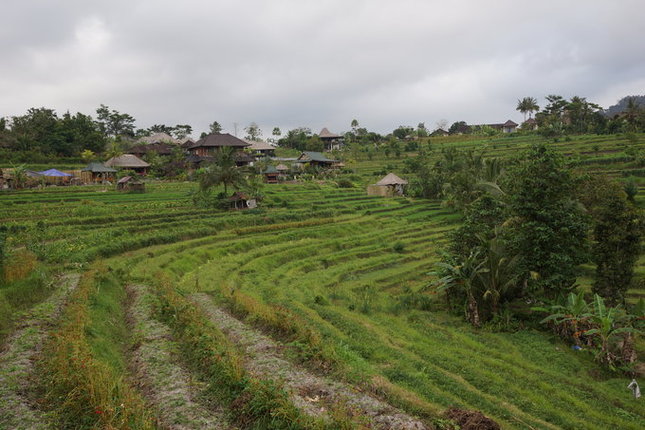 从另一边的梯田看过来。据一位在Sidemen呆过很久的资深网友说，Sawah Indah门前这片梯田是Sidemen最美的。 