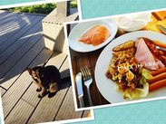 为图片说点什么吧