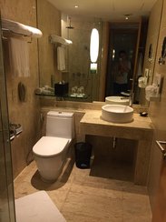 卫生间设施齐全，不过还是显旧了