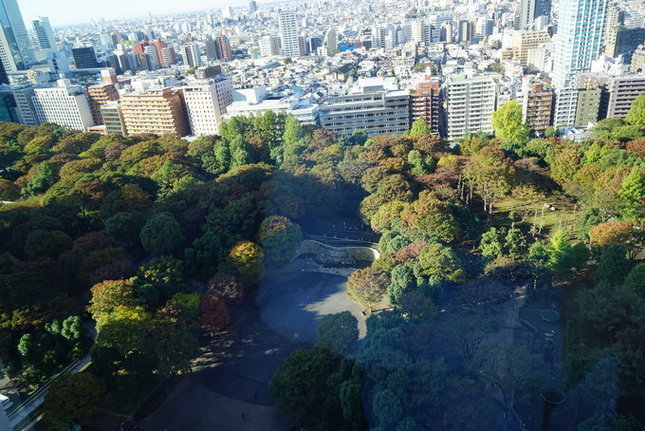 酒店窗户看到的风景